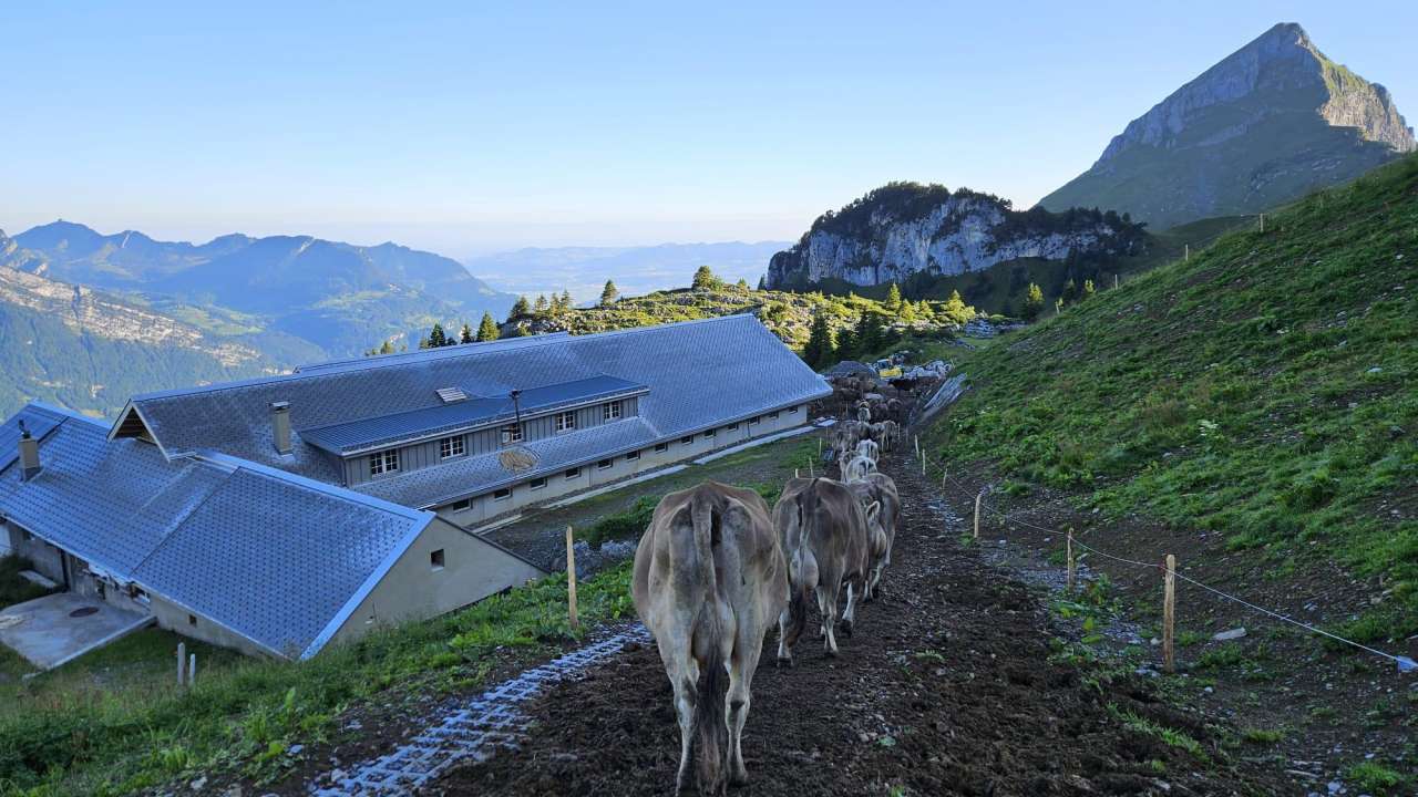 Die Alpfamilie Tschudi erzählt von der Alp Heuboden