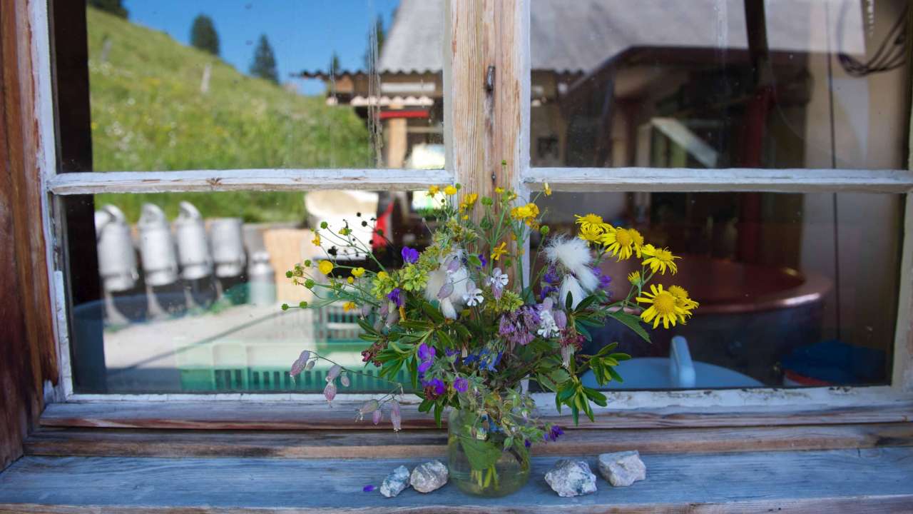 Käsepass Alp Fittern