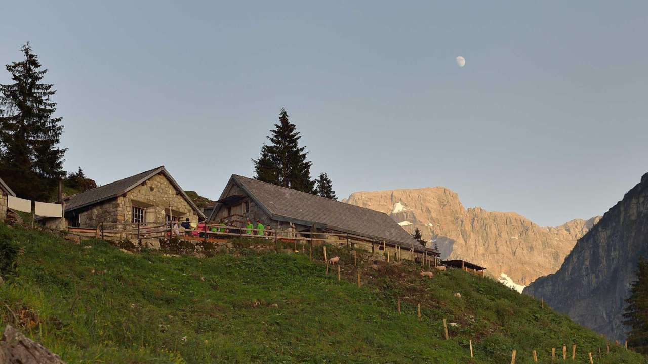 Käsepass Alp Hinterschlatt
