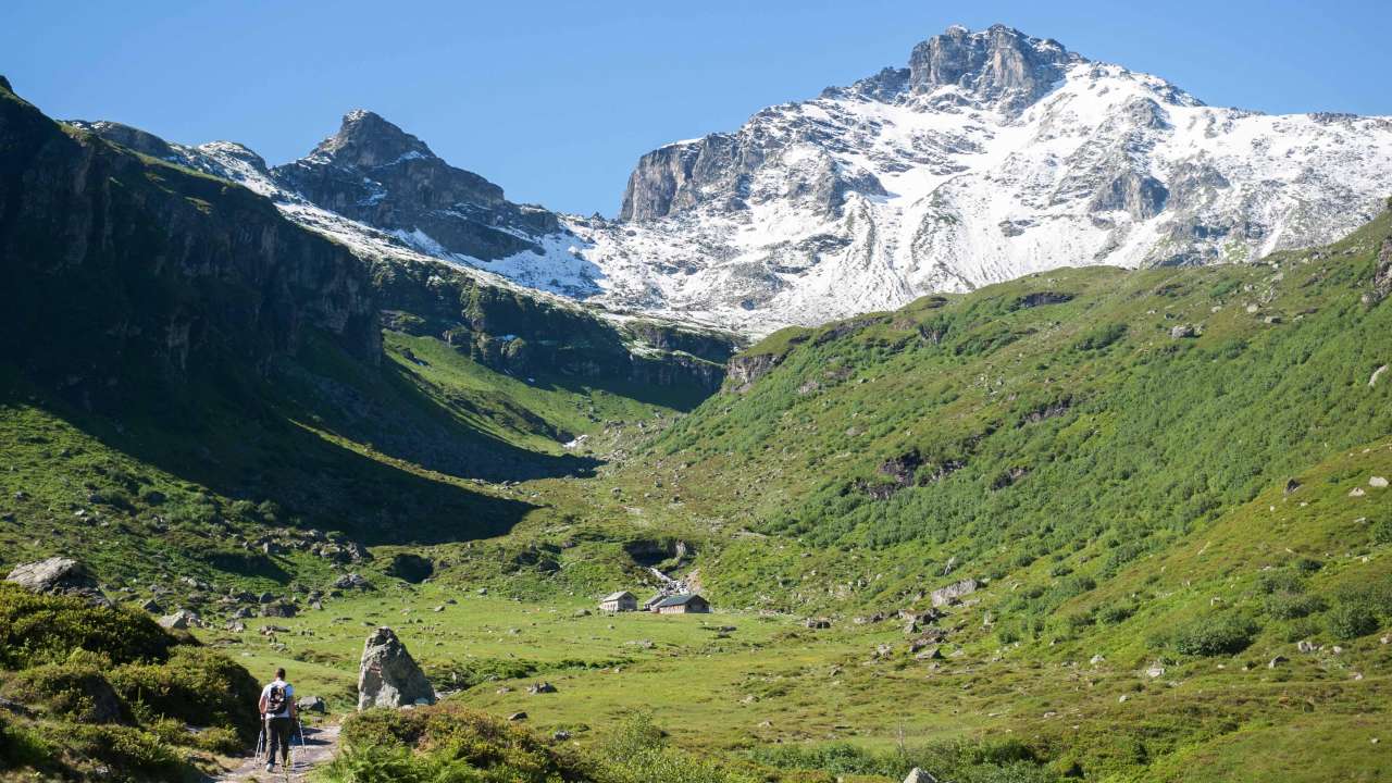 Käsepass Alp Nideren-Mettmen
