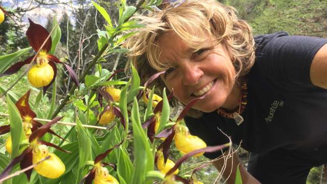 bergzyt / Gabi Aschwanden