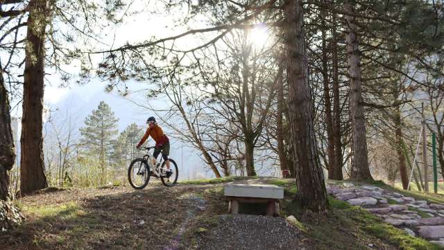 Bike-Skillspark lintharena