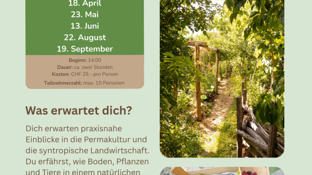 Führungen im Permakulturgarten Bündtli 2026